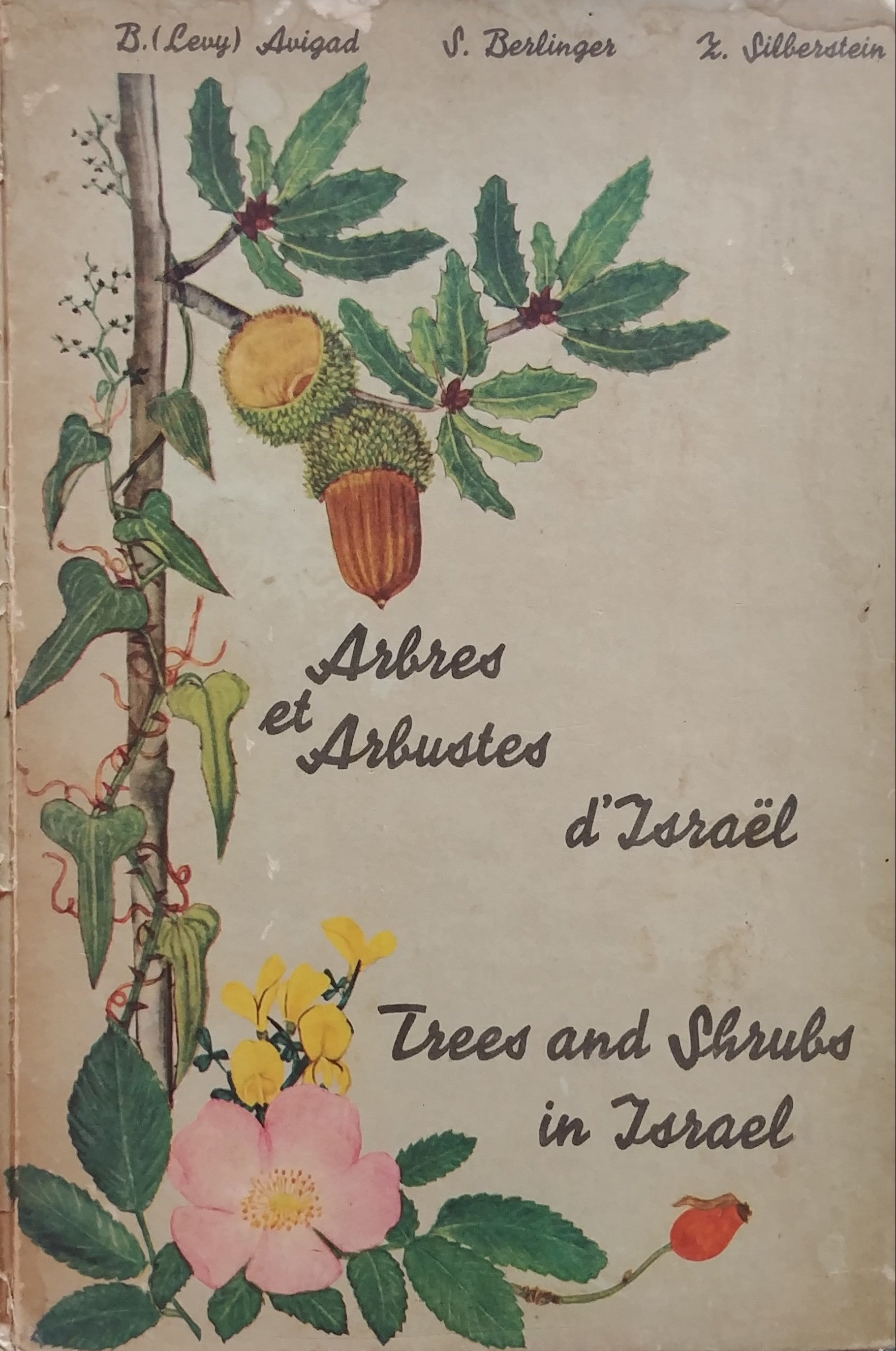 TREES AND SHRUBS IN ISRAEL / TWENTY SEVEN WILD TREES AND SHRUBS