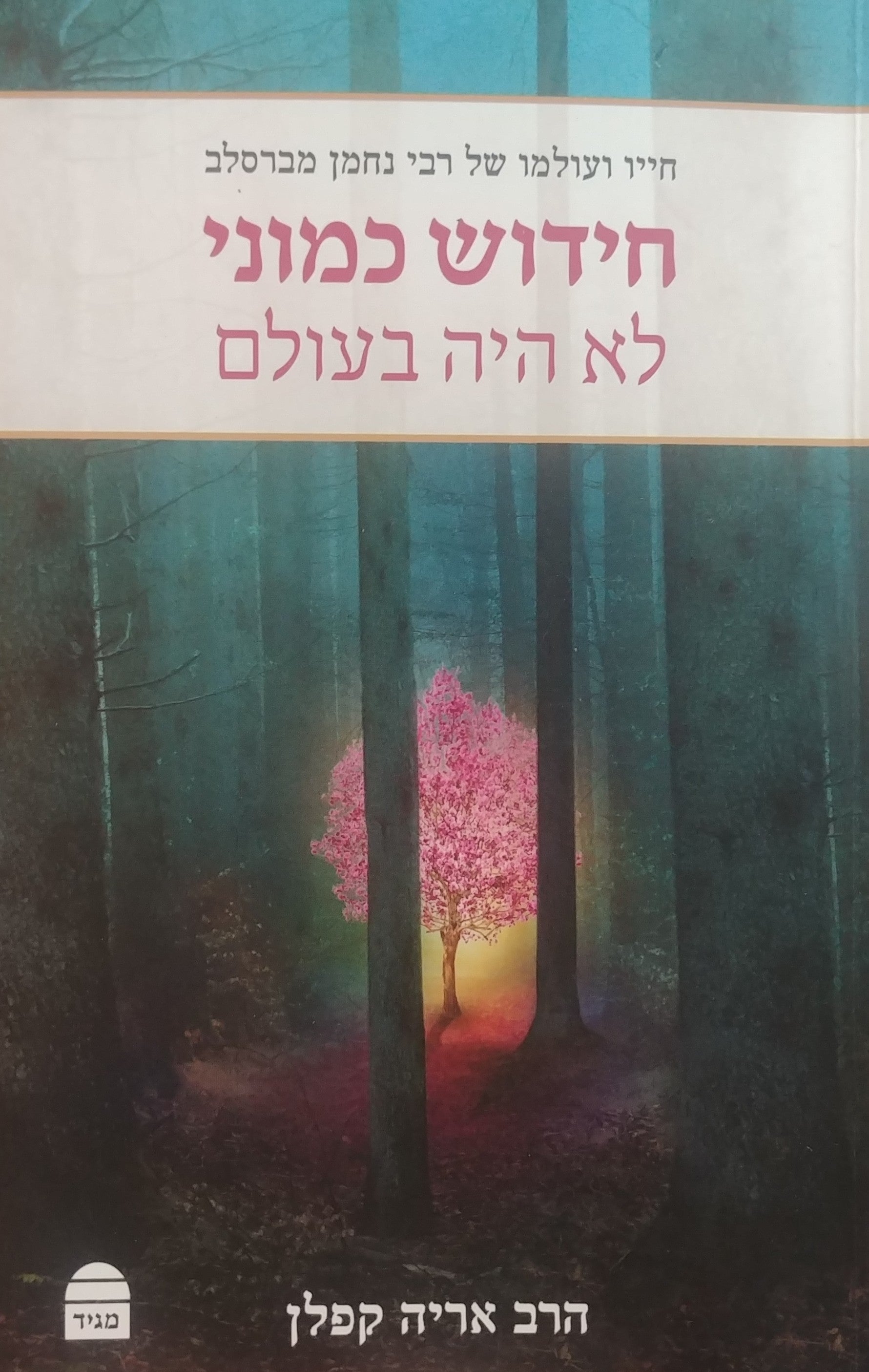 חידוש כמוני/ לא היה בעולם - חייו ועולמו של רבי נחמן מברסלב