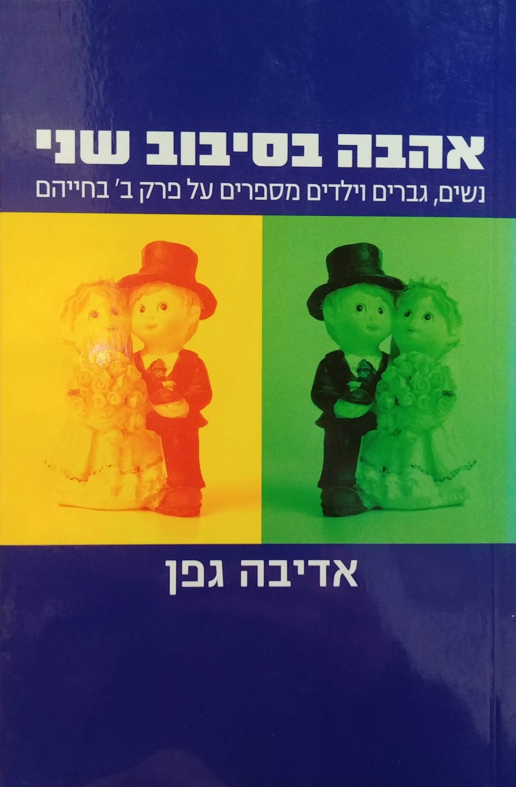 אהבה בסיבוב שני/ נשים גברים וילדים מספרים על פרק ב' בחייהם