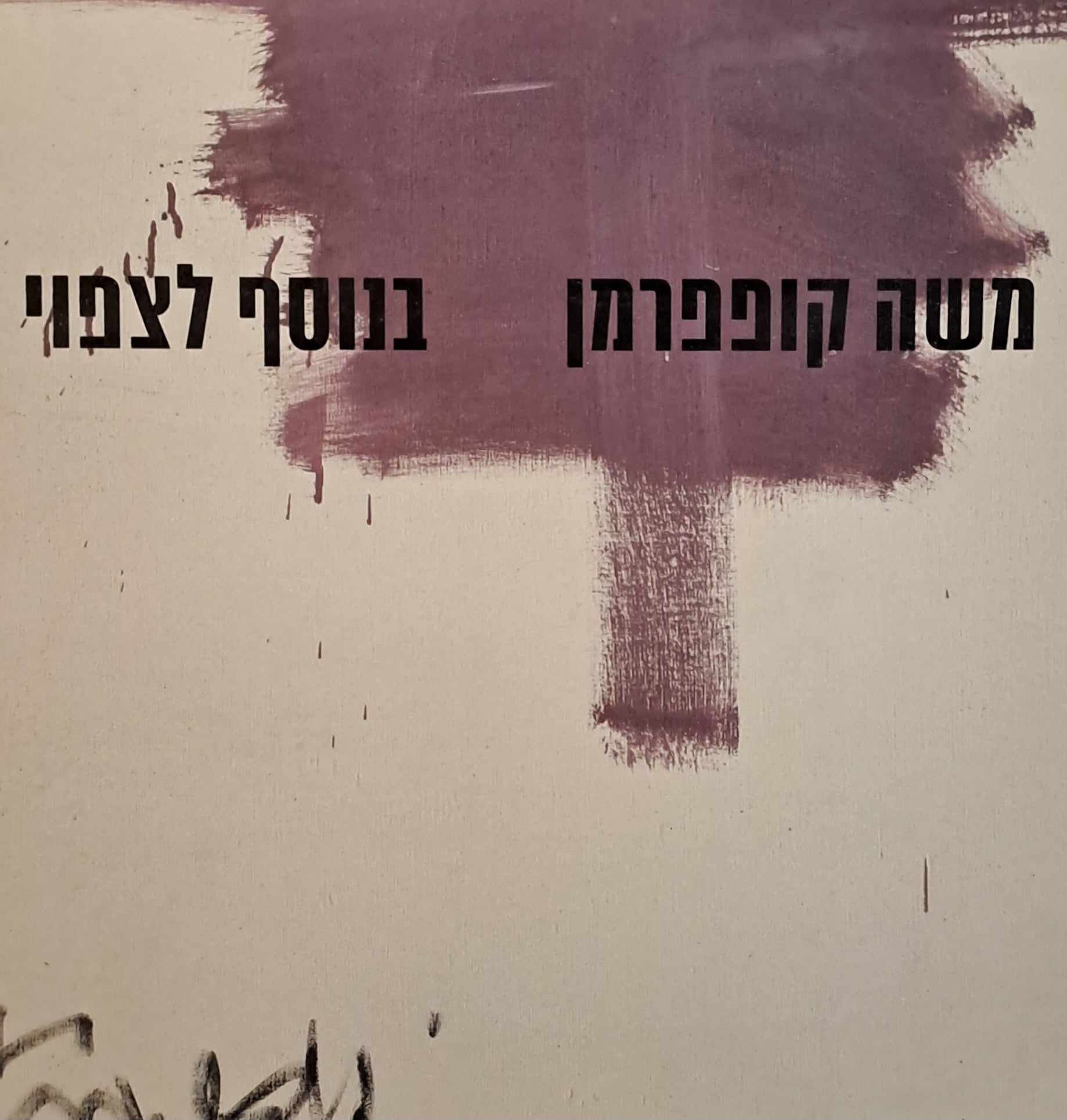 בנוסף לצפוי