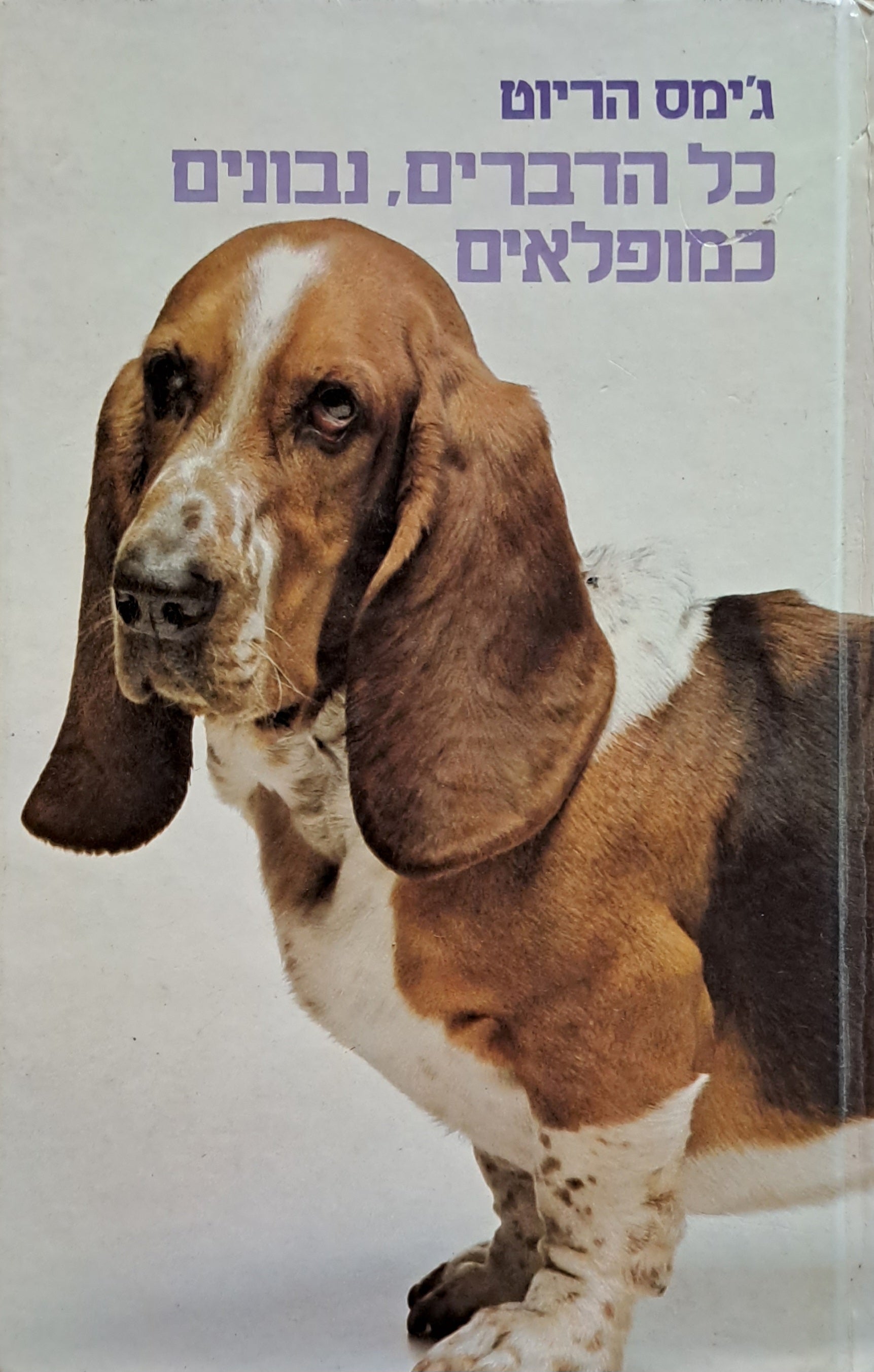 כל הדברים, נבונים כמופלאים