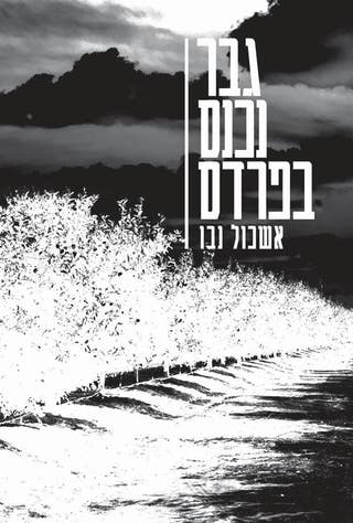 גבר נכנס בפרדס