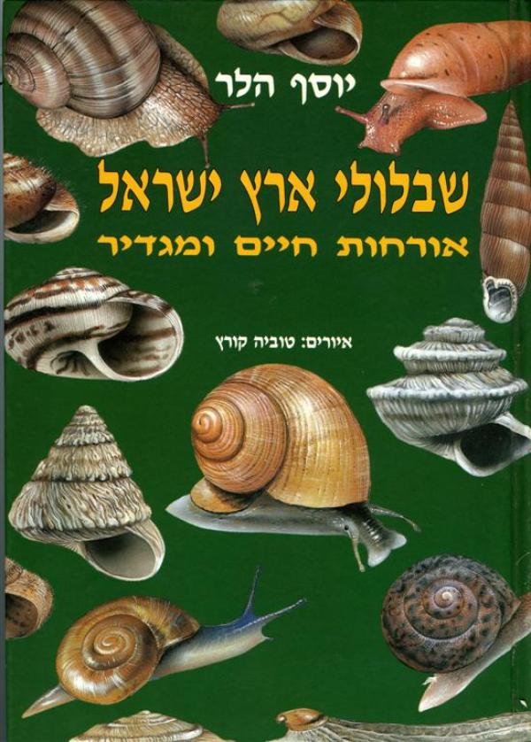 שבלולי ארץ ישראל / אורחות חיים ומגדיר