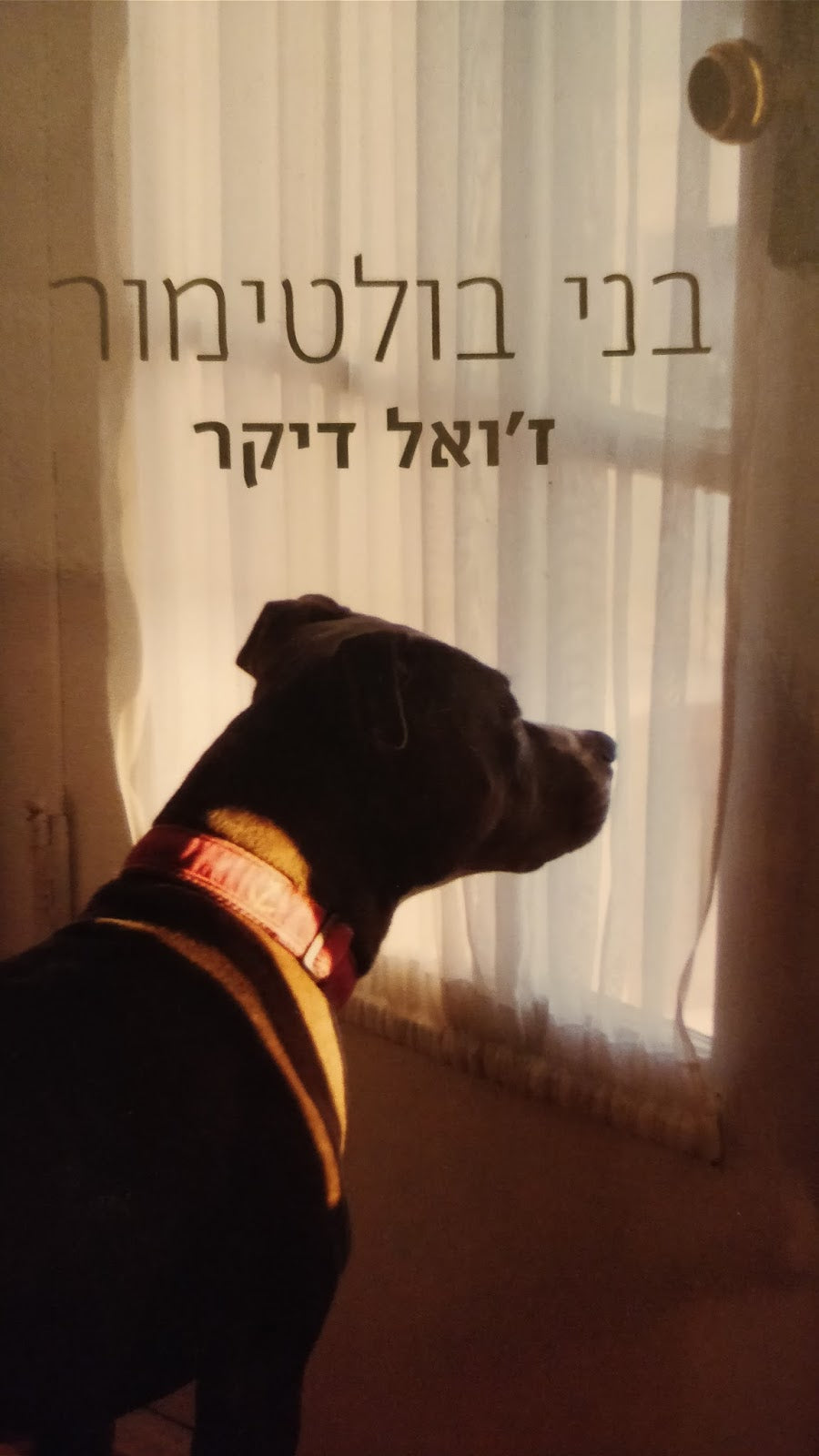 בני בולטימור