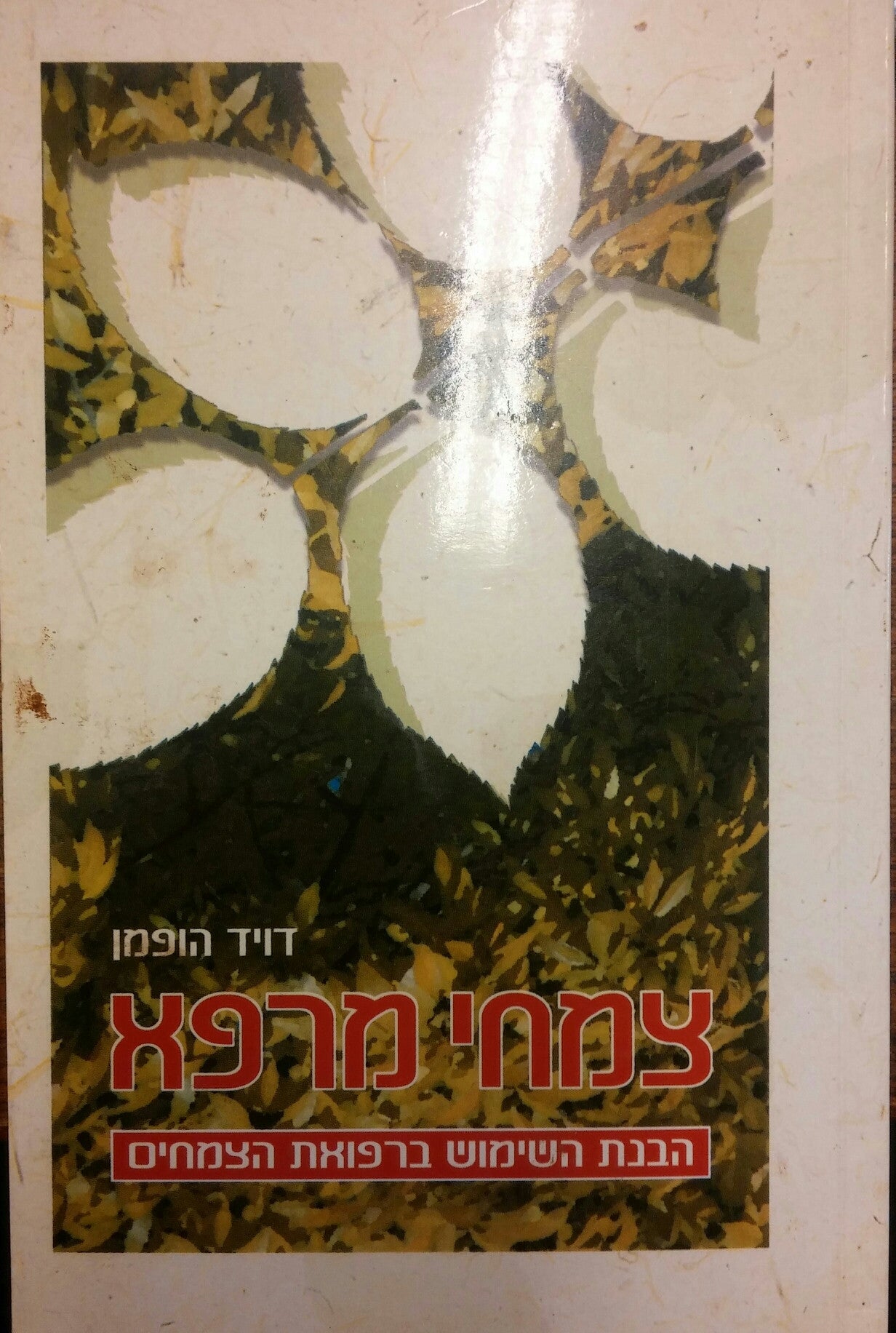 צמחי מרפא/ הבנת השימוש ברפואת הצמחים