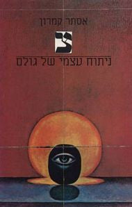 צ/ ניתוח עצמי של גולם