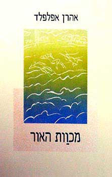 מכוות האור