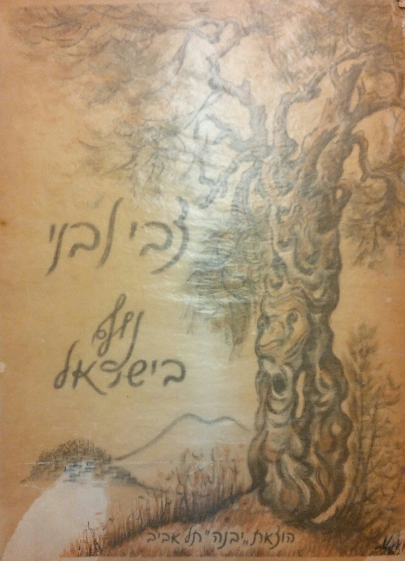 נוף בישראל/ שמונה ליטוגרפיות מעשה ידי האמן