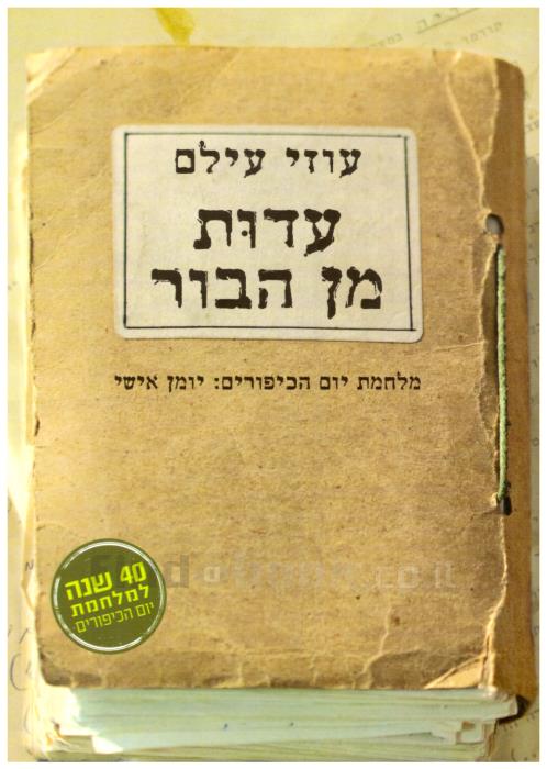 עדות מן הבור / מלחמת יום הכיפורים: יומן אישי