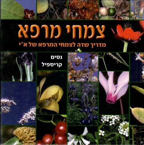 צמחי מרפא / מדריך שדה לצמחי המרפא של א"י