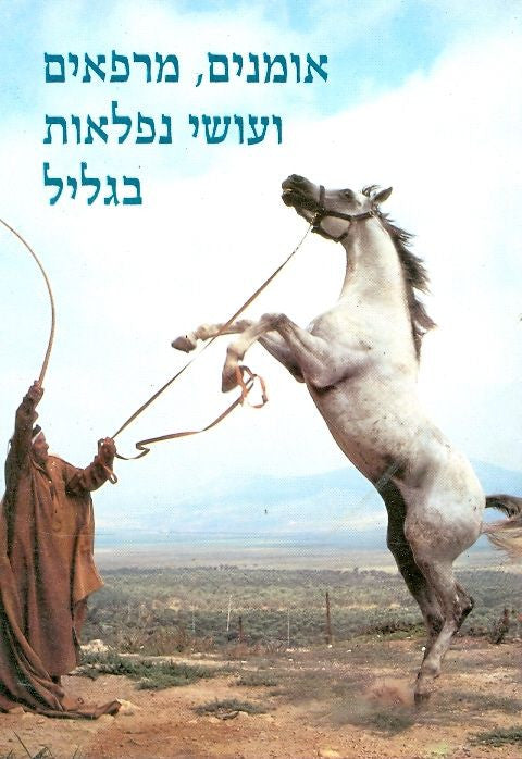אומנים, מרפאים ועושי נפלאות בגליל / אריאל 97