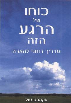 כוחו של הרגע הזה / מדריך רוחני להארה