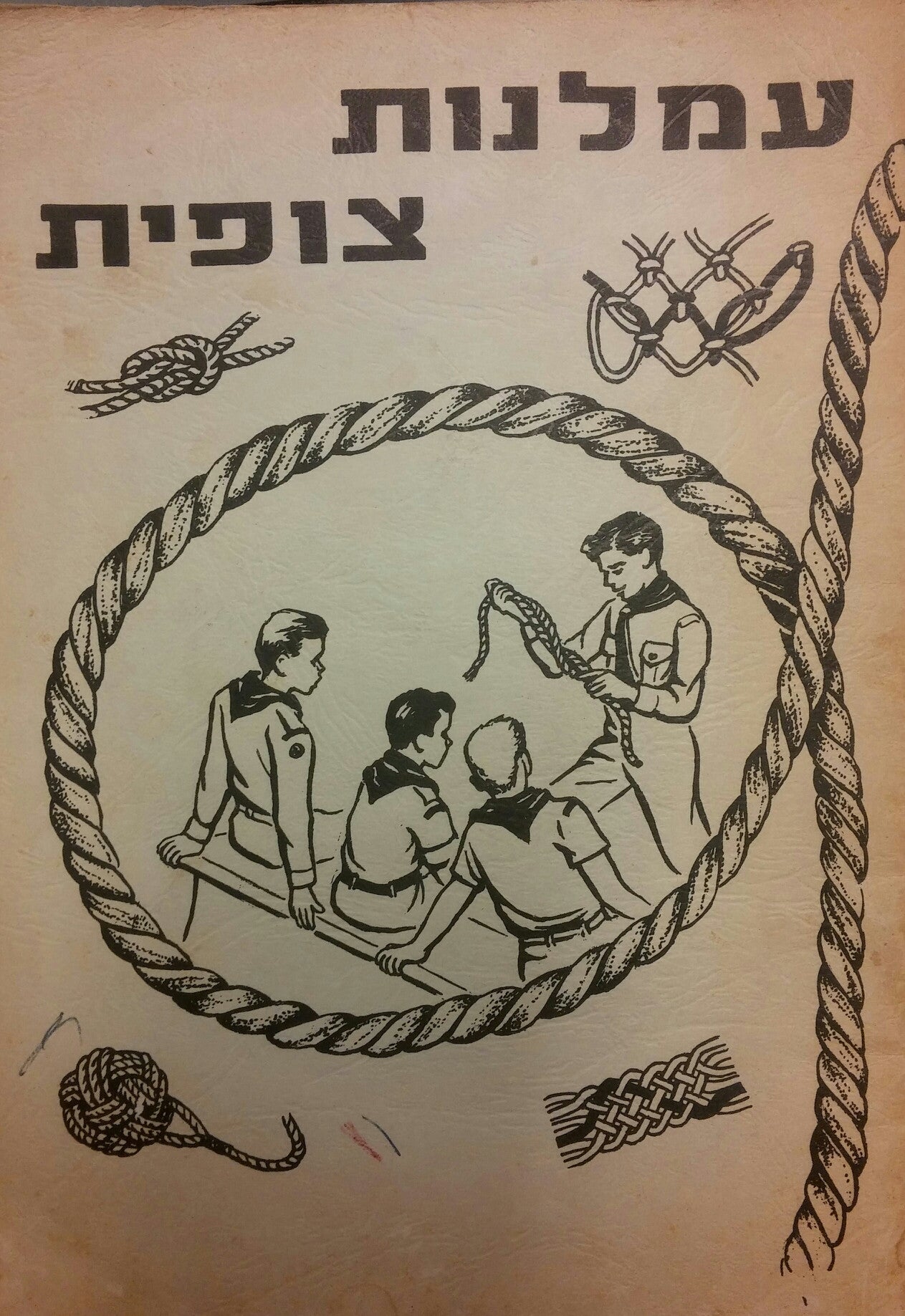 עמלנות צופית