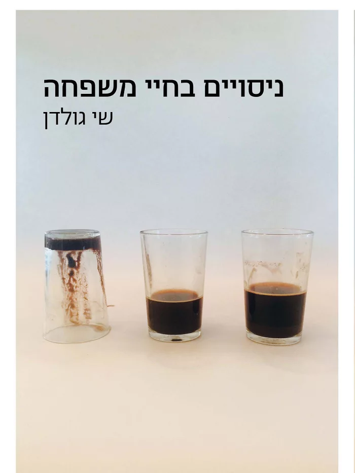 ניסויים בחיי משפחה