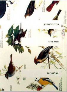 אבנר ברנר