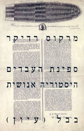 ספינת העבדים / היסטוריה אנושית