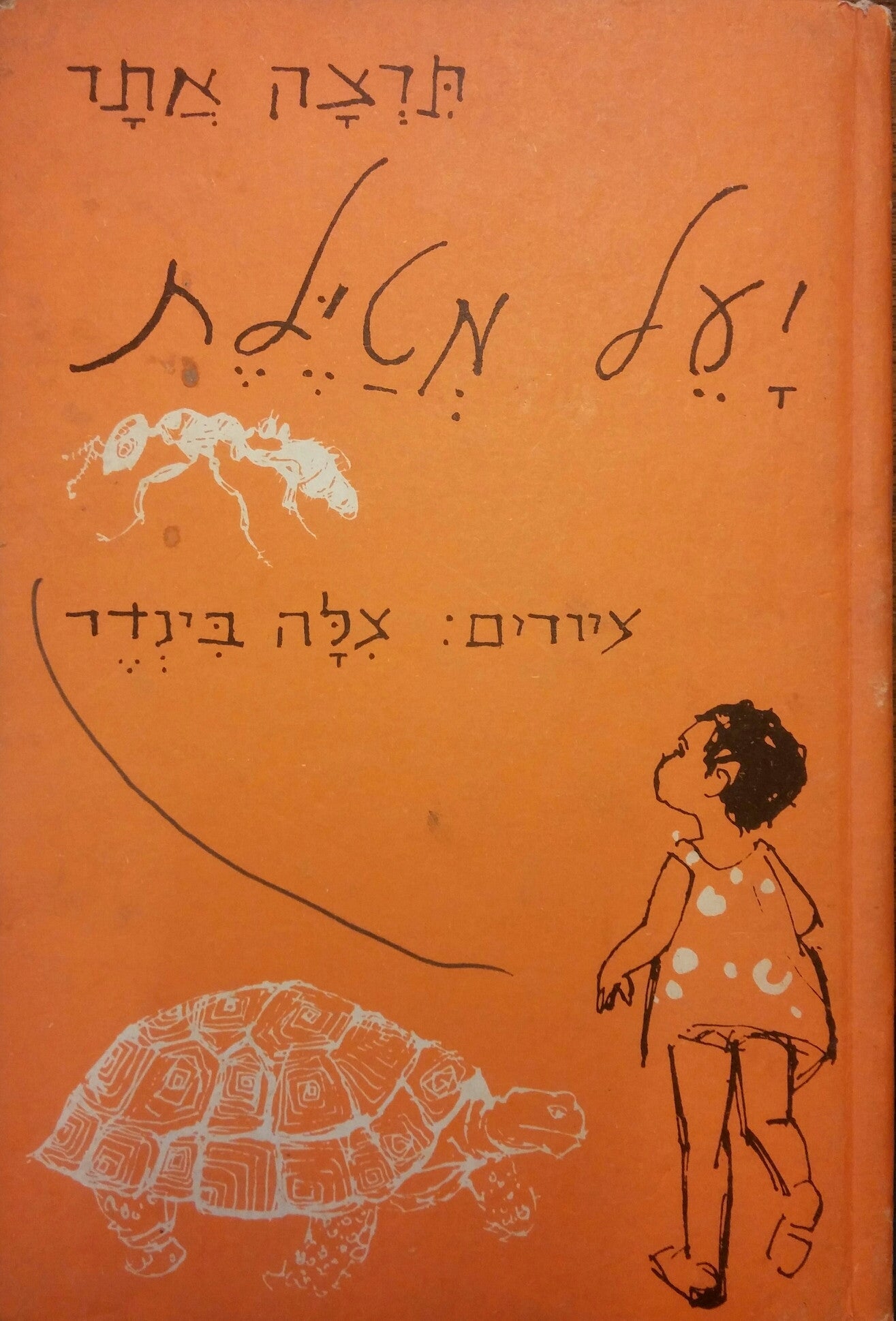 יעל מטילת