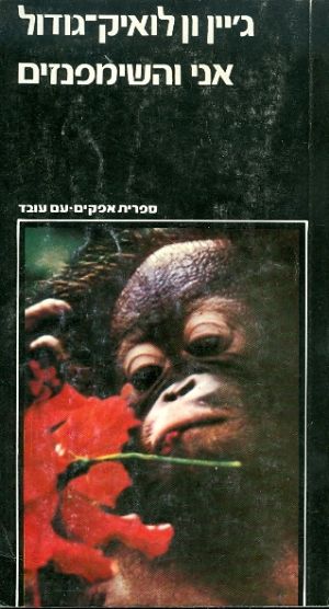 אני והשימפנזים