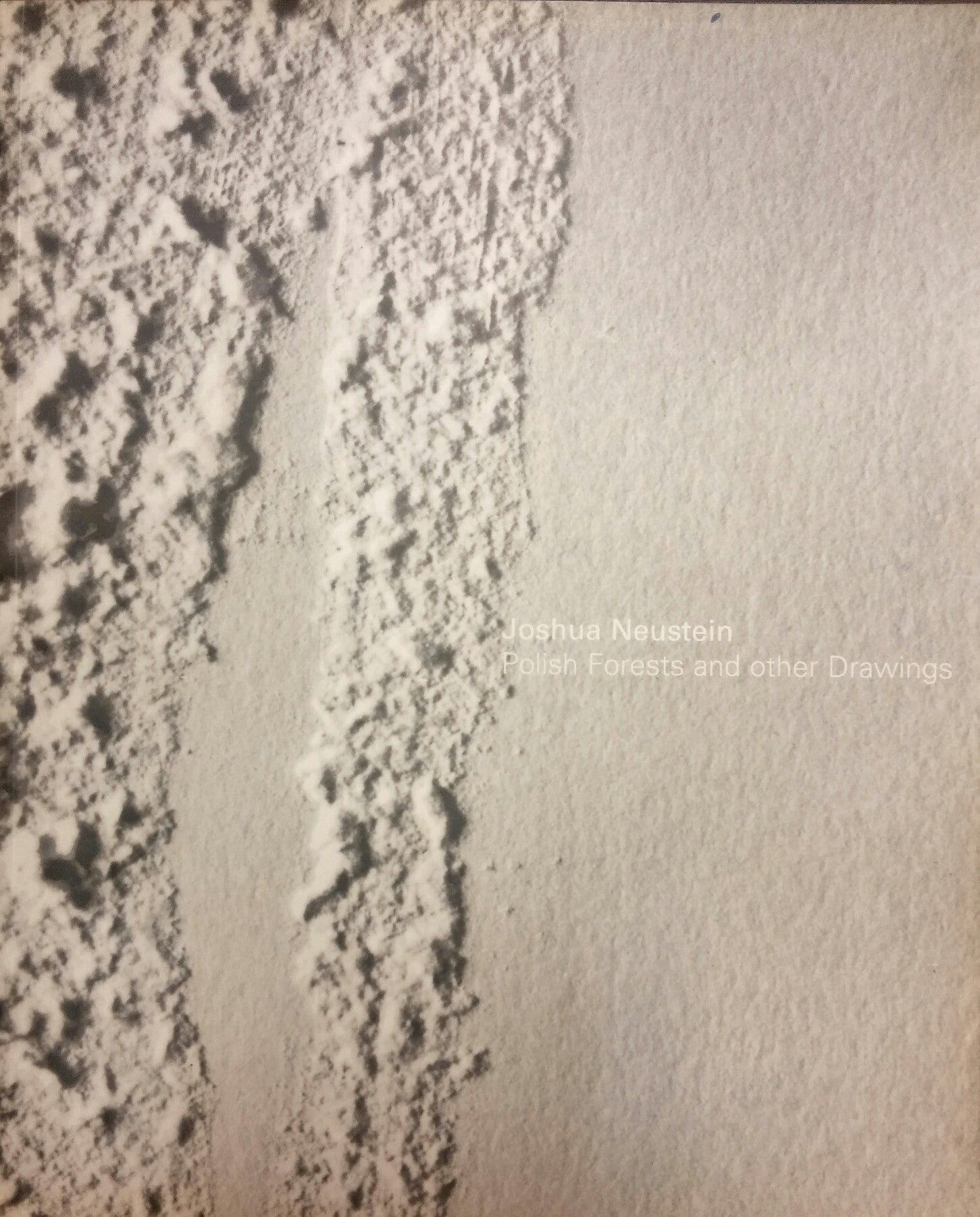 JOSHUA NEUSTEIN \ POLISH FORESTS AND AOTHER DRAWINGS