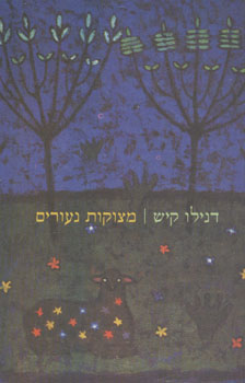 מצוקות נעורים