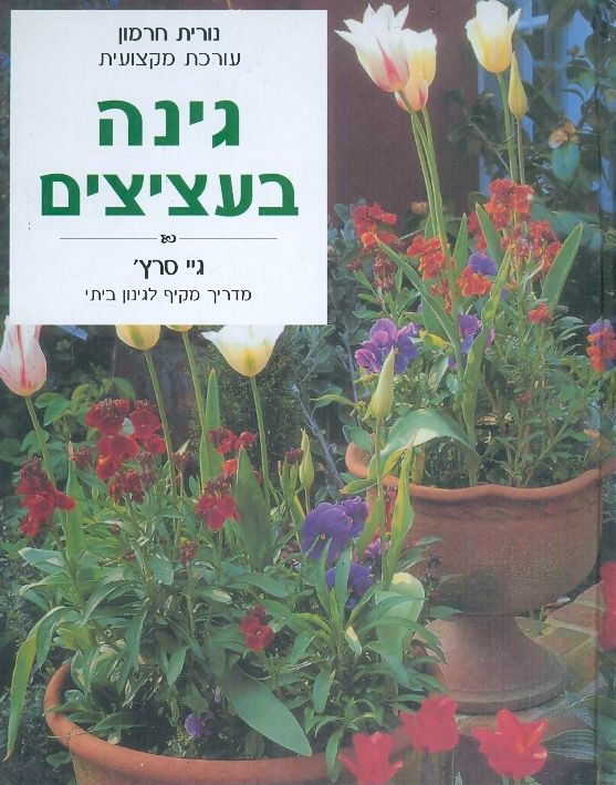 גינה בעציצים / מדריך מקיף לגינון ביתי