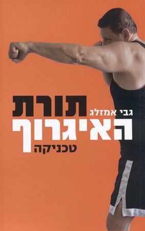 תורת האיגרוף / טכניקה