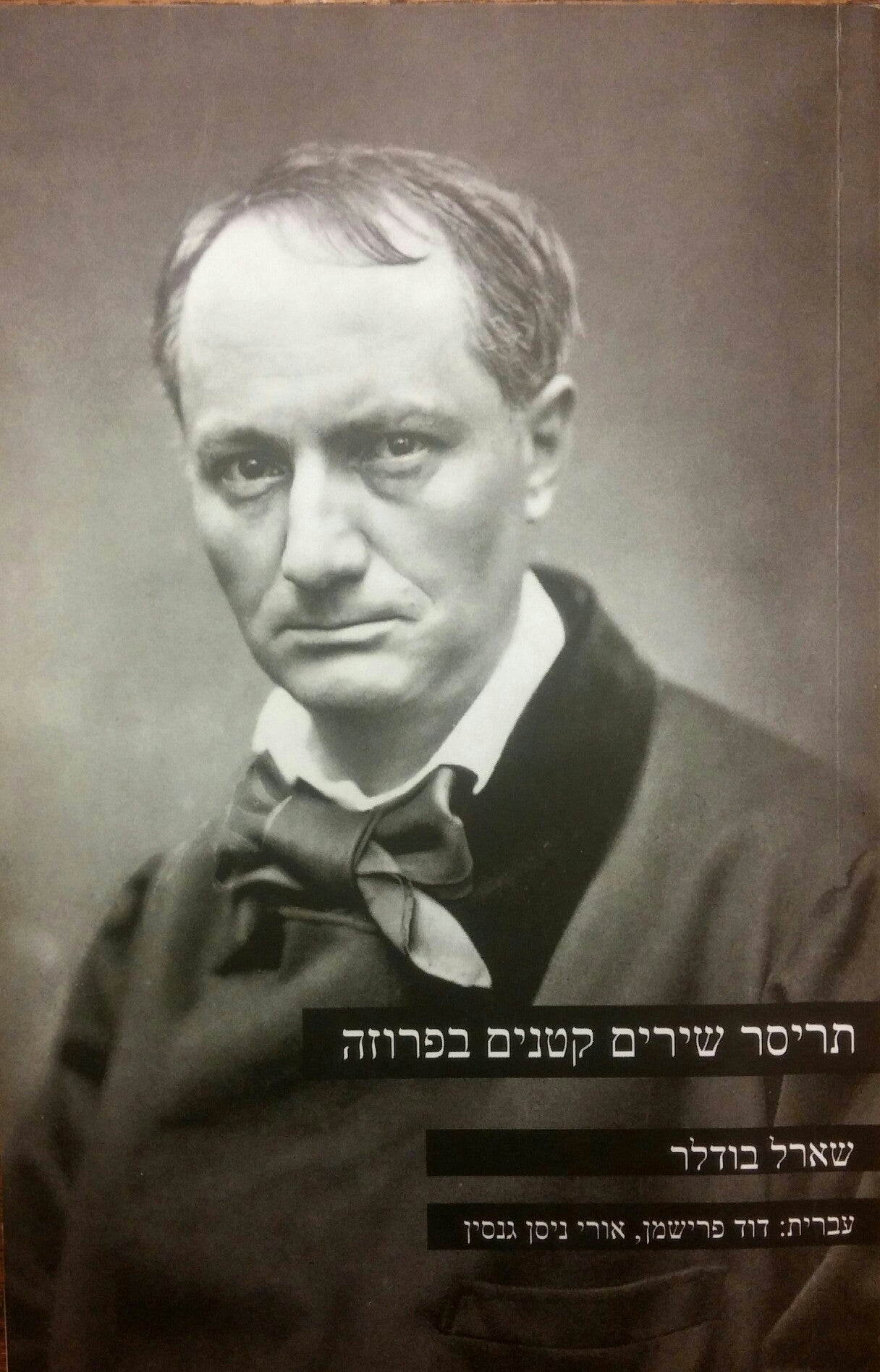 תריסר שירים קטנים בפרוזה