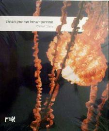 ממוזיאון ישראל ועד שוק הכרמל / עיצוב ישראלי