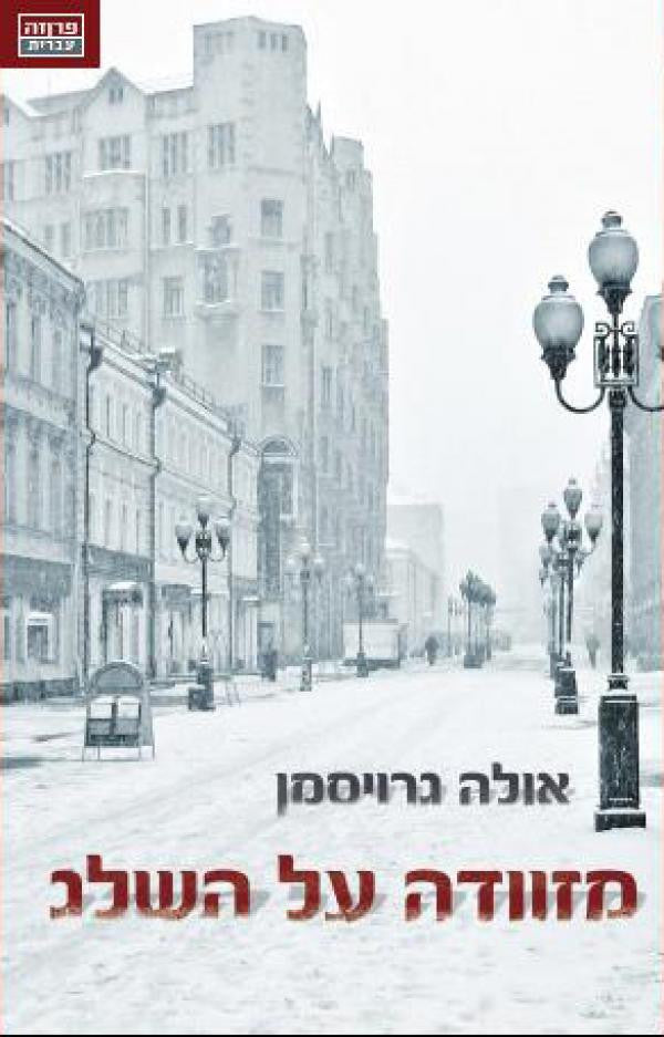 מזוודה על השלג