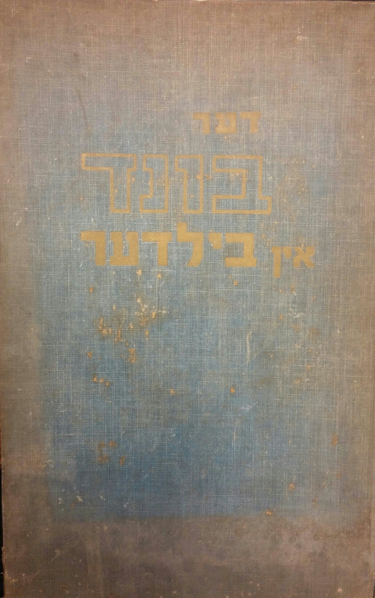 דער בונד אין בילדער 1897-1957- the jewish labor band