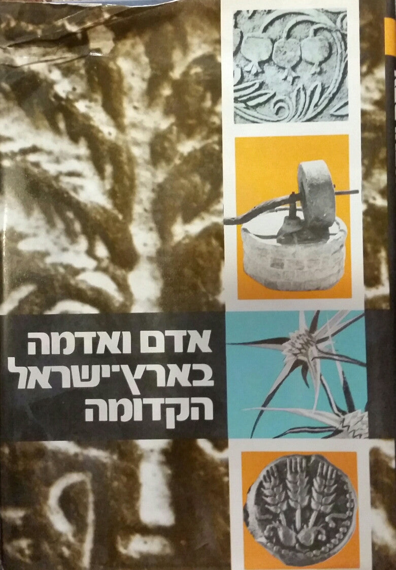 אדם ואדמה בארץ ישראל הקדומה/ קובץ מחקרים