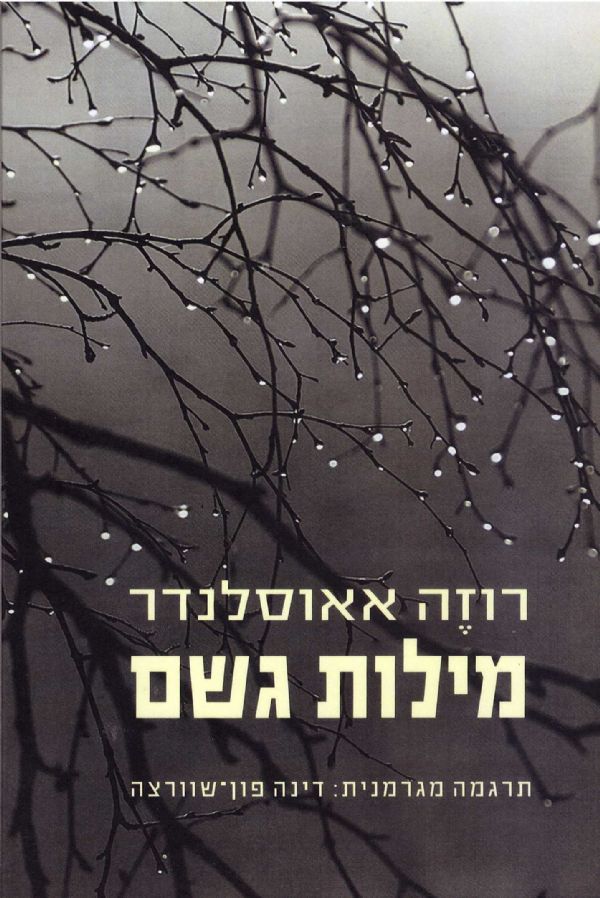 מילות גשם