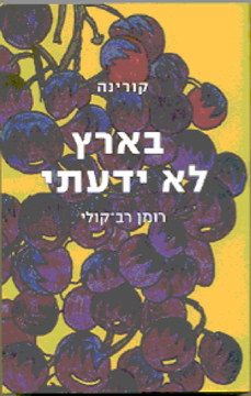בארץ לא ידעתי / רומן רב-קולי