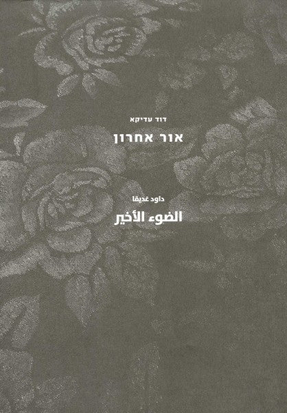 אור אחרון