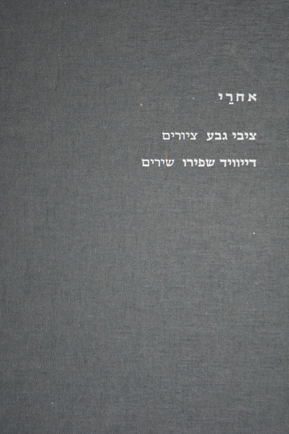 אחרי / ציורים: ציבי גבע שירים:דייוויד שפירו