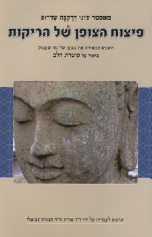 פיצוח הצופן של הריקות / השמש המאירה את טבעו של מה שעמוק - ביאור על סוטרת הלב
