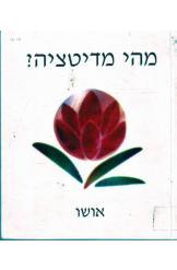 מהי מדיטציה?