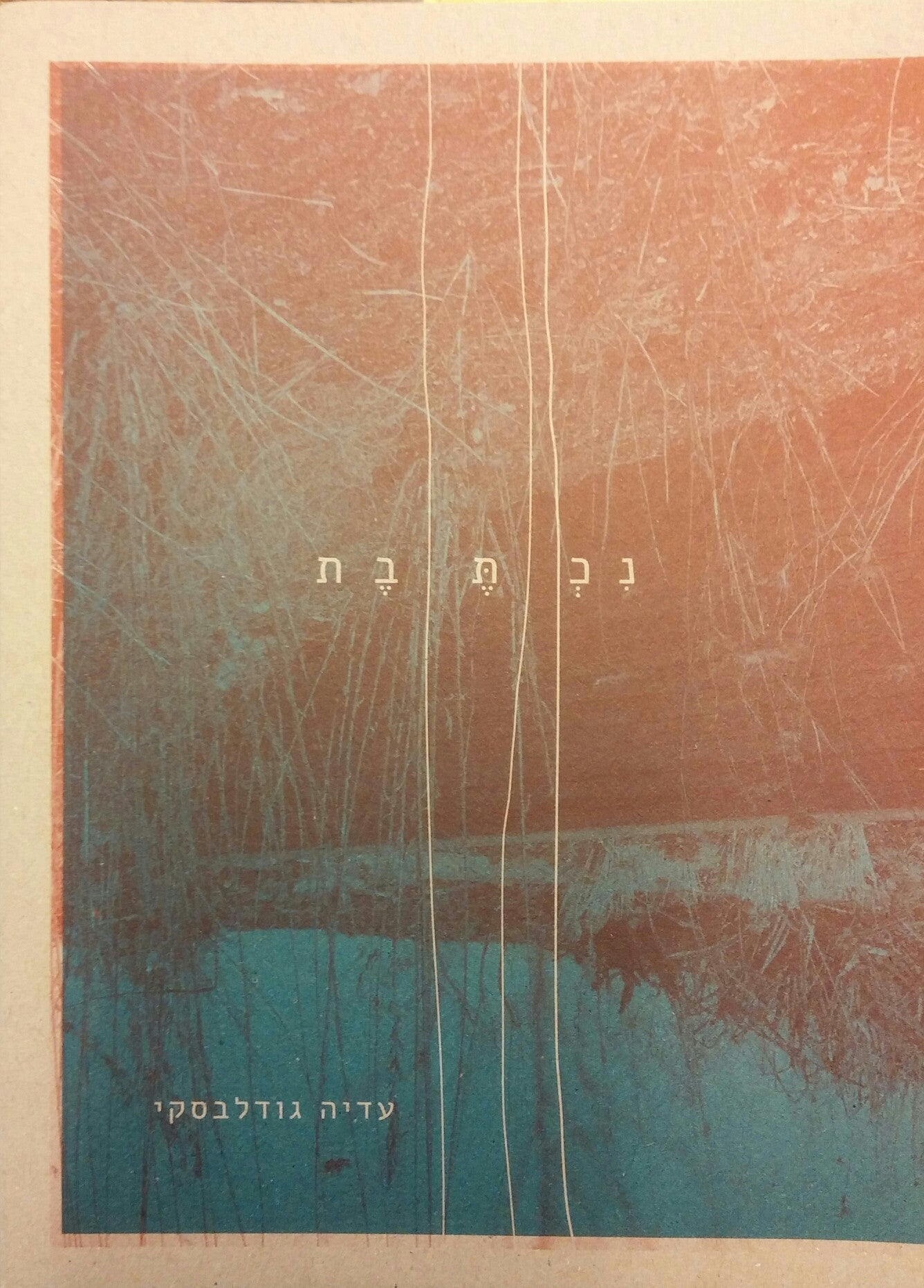 נכתבת