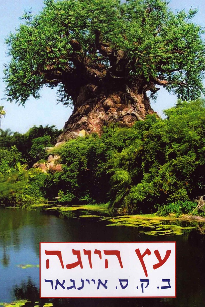 עץ היוגה