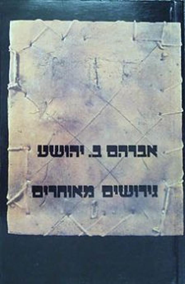 גירושים מאוחרים / רומאן