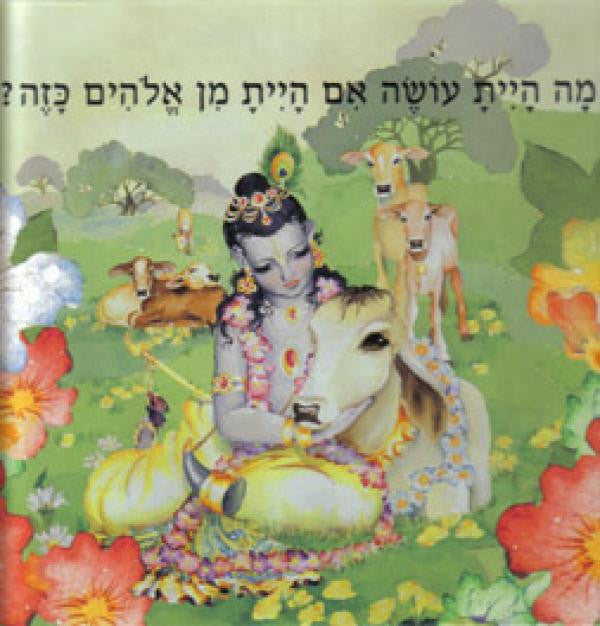 מה היית עושה אם היית מן אלהים כזה?