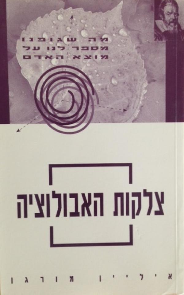 צלקות האבולוציה / מה שגופנו מספר לנו על מוצא האדם