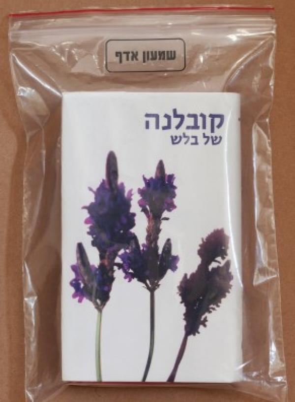 קובלנה של בלש