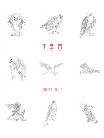 הבז