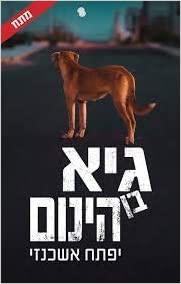 גיא בן הינום