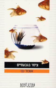 צימר בגבעתיים