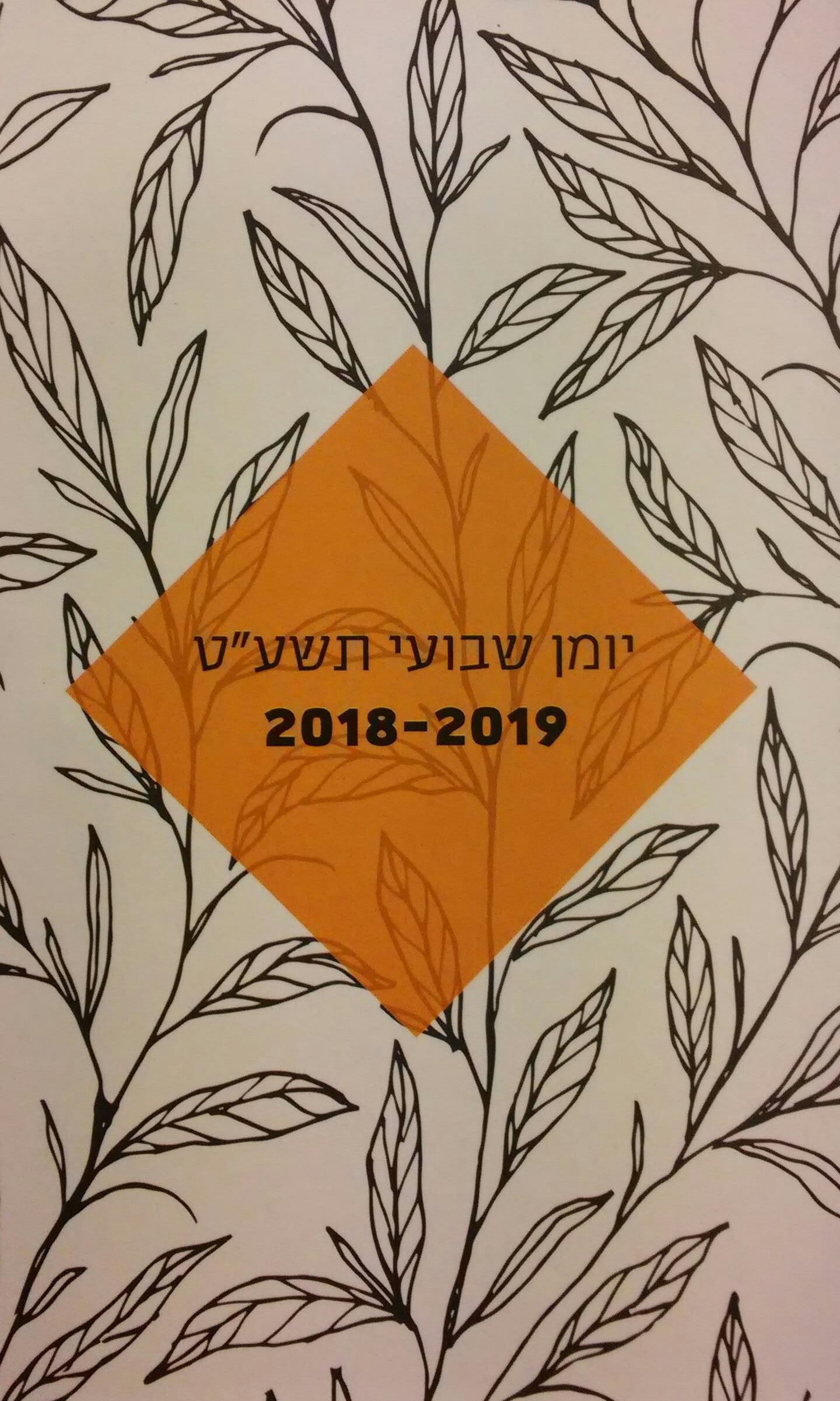 יומן שבועי תשע"ט / 2018-2019