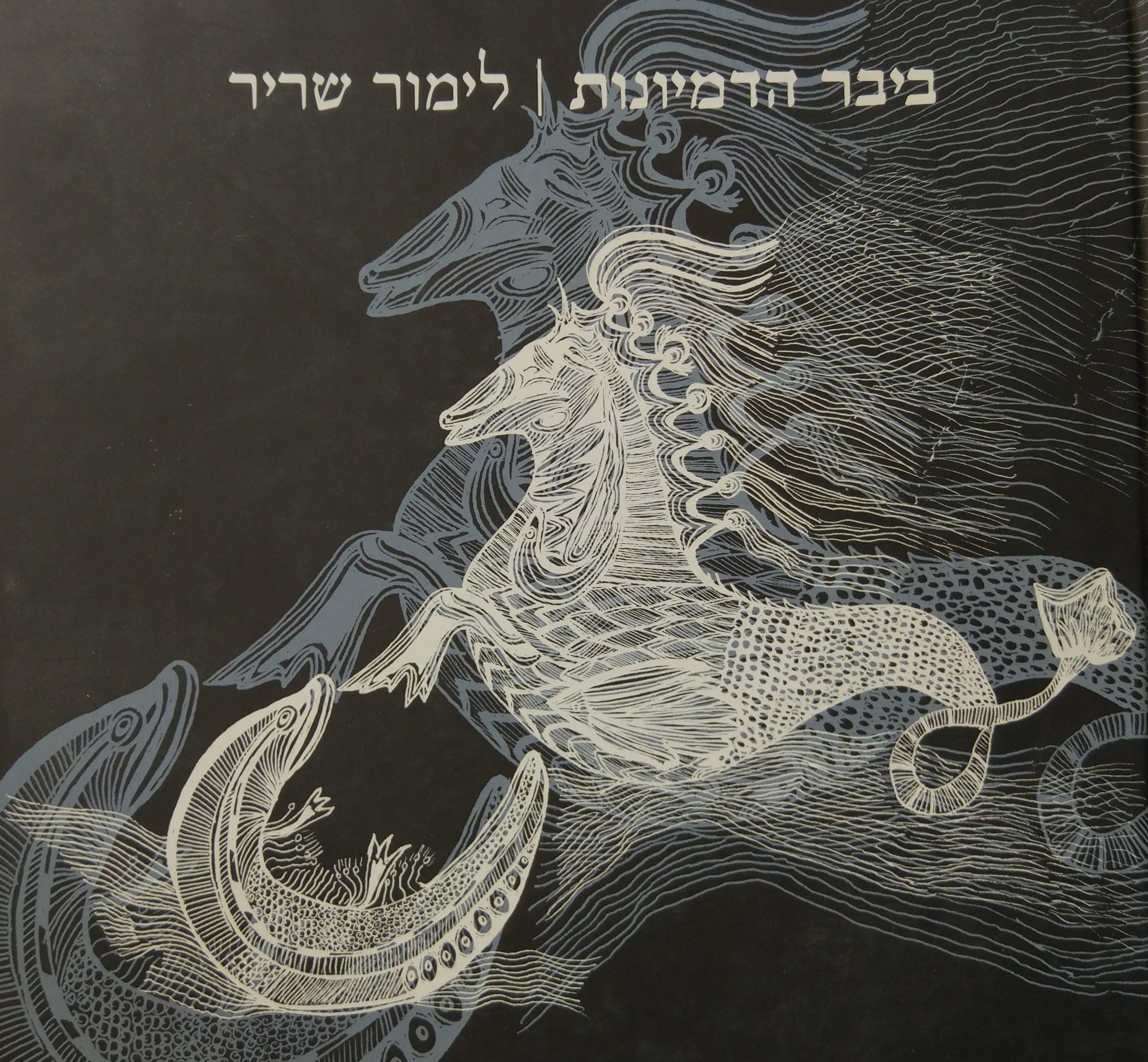 ביבר הדמיונות