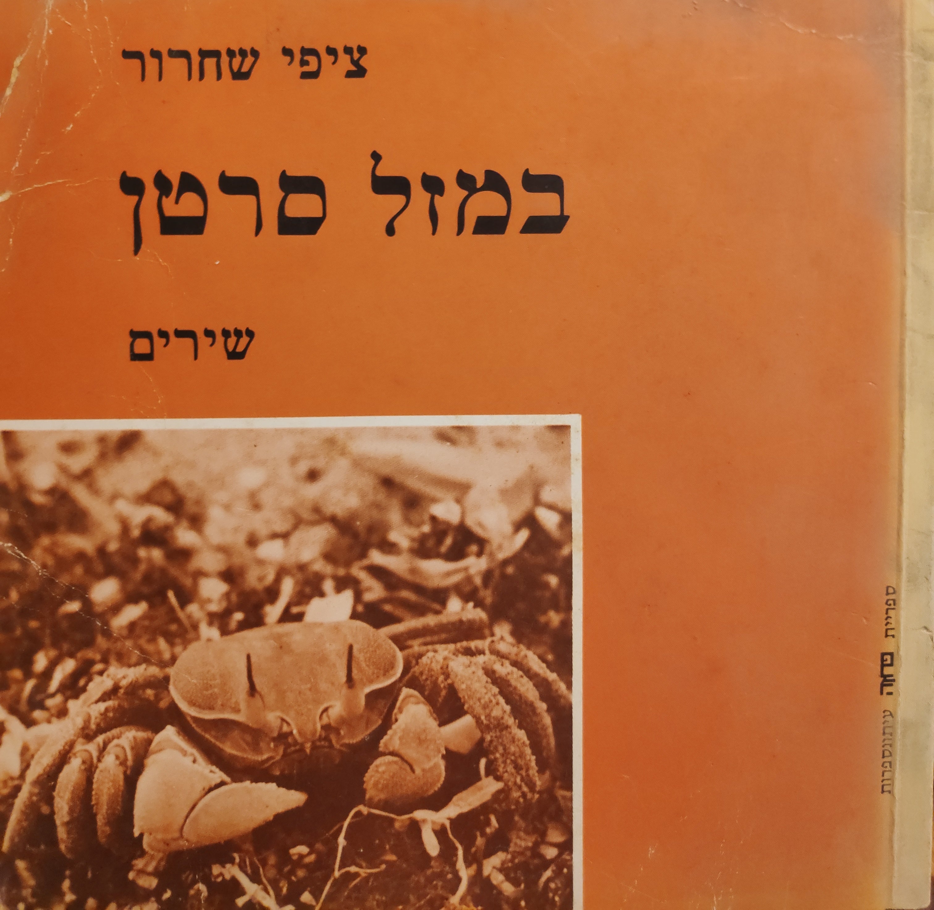 במזל סרטן / שירים