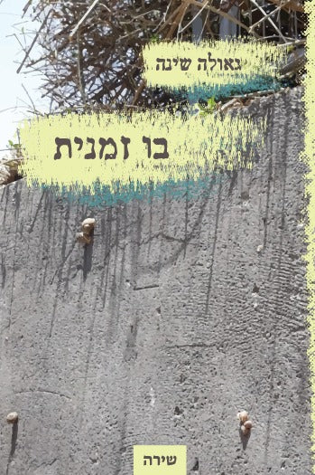 בו זמנית